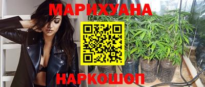 сатива Будённовск