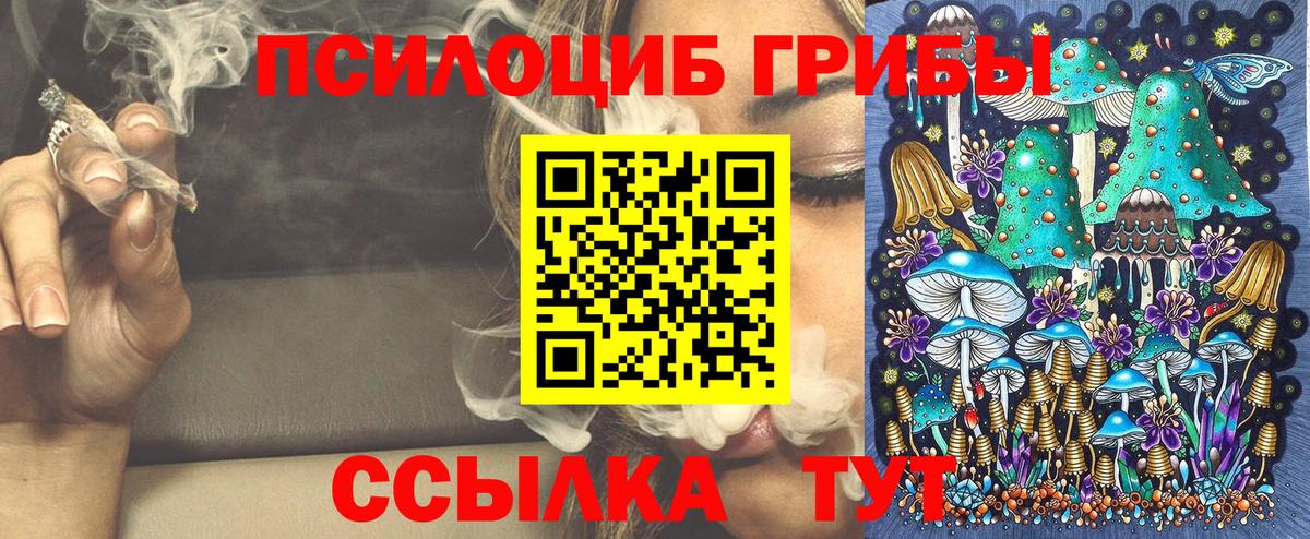 Псилоцибиновые грибы MAGIC MUSHROOMS  Вход с VPN  Ростов-на-Дону 